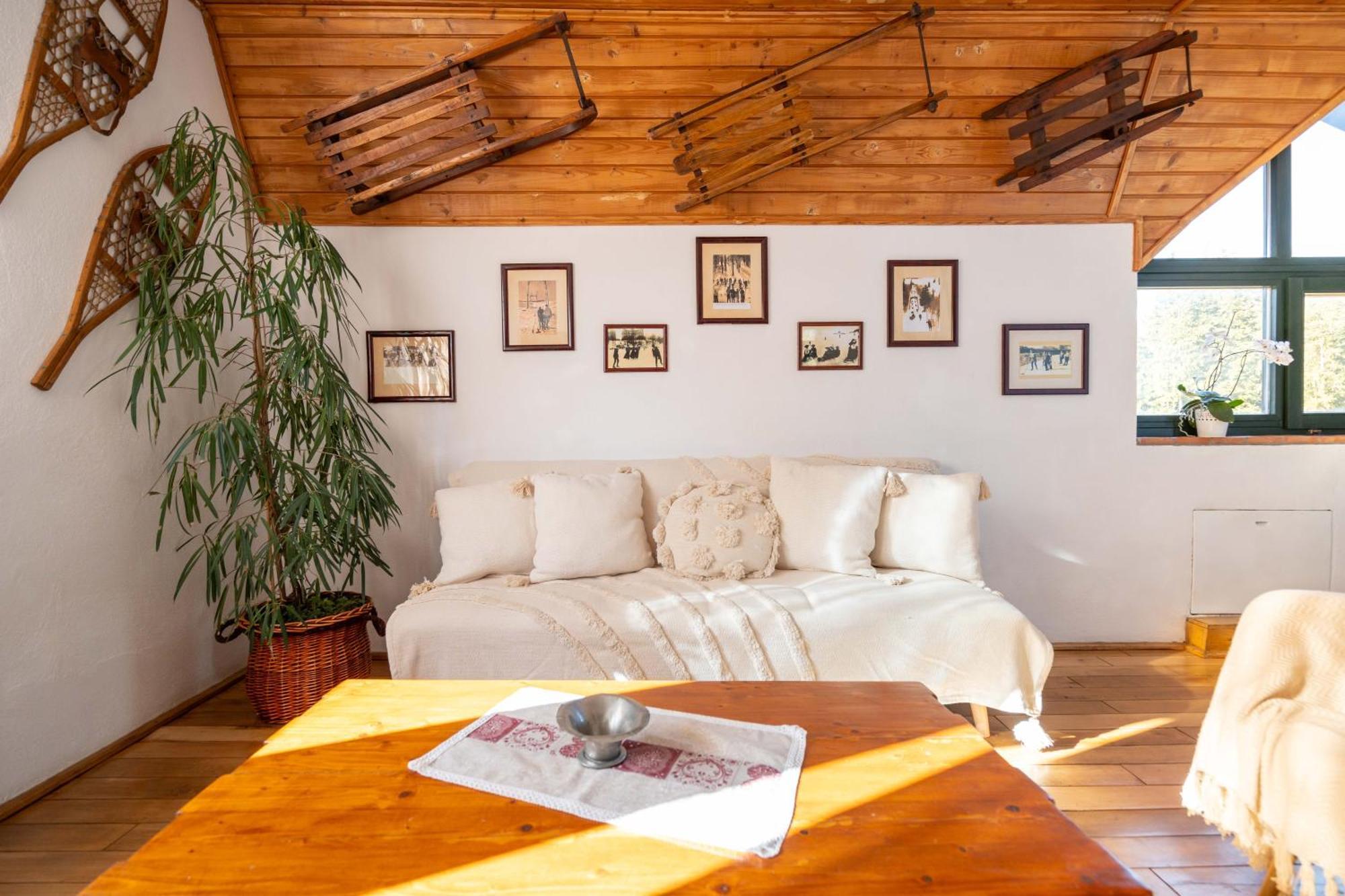 Fortuna Eco - Boutique Hotel BaileTusnad Exterior photo